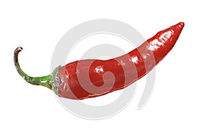 Chili pepper isolated on a white background