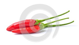 Chili pepper isolated on a white background