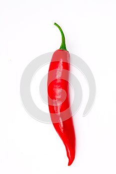 Chili pepper isolated on white background