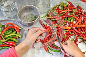 Chili pepper. Preparation for canning multicolored pods of bitter pepper. Cutting off the green tips with scissors.
