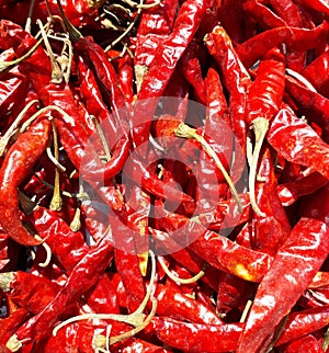 Chili peppers, also spelled chile or chilli, are varieties of the berry-fruit of plants from the genus Capsicum,