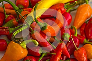 Chili peppers of different colors and flavours