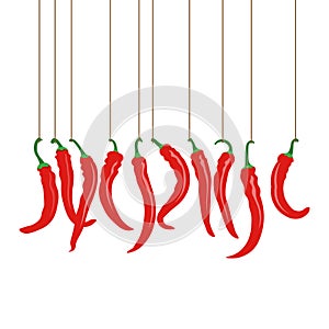 Chili peppers hanging on the ropes vector illustration