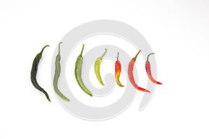 Chili peppers isolated on white background