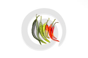 Chili peppers isolated on white background