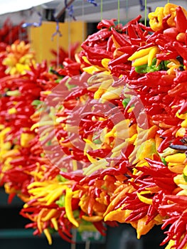 Chili peppers at a produce stand