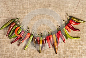 Chili peppers on a row on burlap texture
