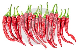 Chili peppers in row isolated