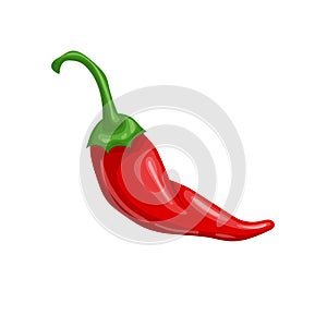chili red hot cartoon vector illustration
