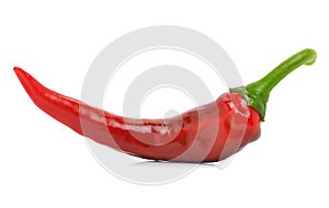 Chili red pepper