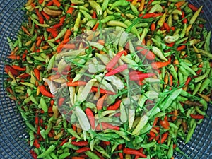 Chili setan in grey basket