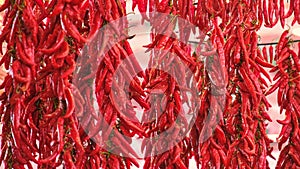 chili texture pepper background spicey horizontal no people photo
