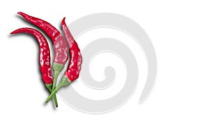 Chilies white background and copy space