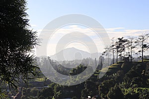 chilin with the view