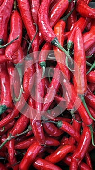 Chilis display at the market