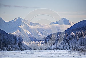 Chilkat Mountains in winter