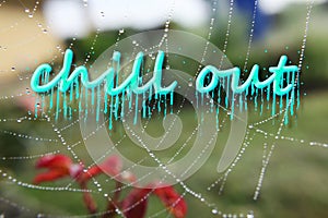 Chill out keep calm letter for Relaxation,Relax,peace,Lifestyle,travel,Vacations Concept in spider`s web background