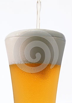Chilled beer with frothy head