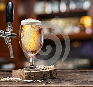 Chilled glass of light beer on the bar counter