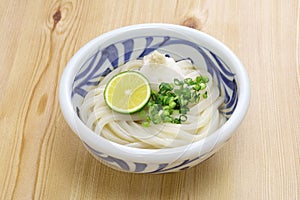 Chilled udon noodles with grated daikon radish and dashi soup. Japanese food