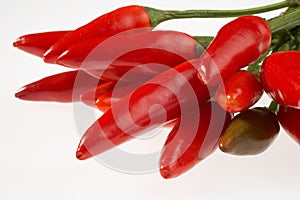 Chilli photo