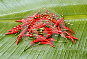 Chilli on banana leaf ,thailand