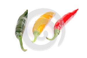 Chilli (Capsicum frutescens L.)