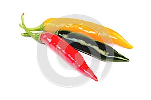 Chilli (Capsicum frutescens L.) photo