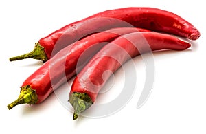 Chilli Pepper