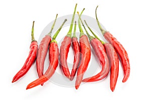 Chilli pepper with green tails set of spicy vegetable spices red pods on white background isolated