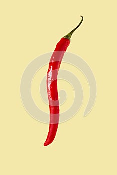 Chilli pepper isolated on beige background. Clipping path. Full depth of field