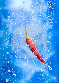 Chilli pepper in a water splash