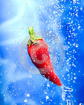 Chilli pepper in a water splash