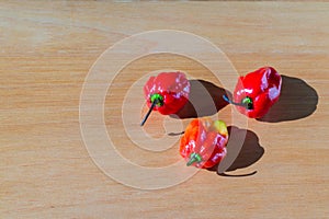 Chilli Pepper with white background