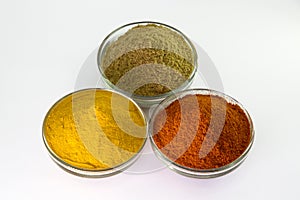 Chilli Powder, Turmeric Powder & Coriander powder in Bowl
