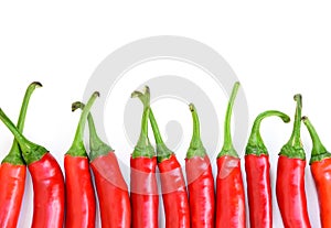 Chilli red peppers border isolated on white background. Bunch of Long red hot peppers, aligned in a horizontal row frame