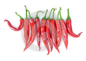 Chilli red peppers in line isolated on white background. Bunch of Long red hot peppers, aligned in horizontal row
