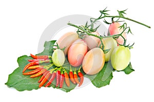 Chilli and Tomatoes.