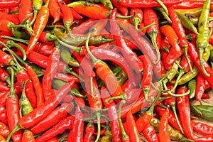 Chillies on sale