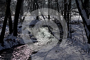 Chilling view of a small creek in the middle of a forest during winter