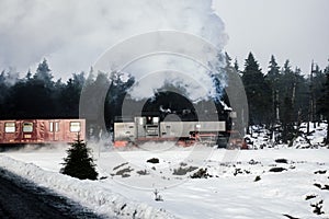 Chilling view of a train passing a winter forest in Brocken HSB Harz Narrow Gauge Railway, German