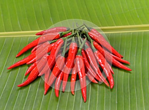 chillis on Banana leaf