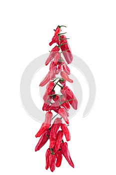 Chillis Drying, Isolated on White