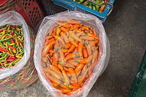 Chillis for sale in Thai Market