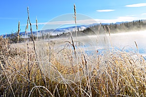A chilly morning at Boya Lake Provincial Park photo