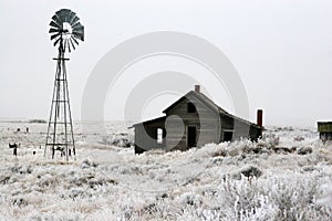 Chilly Morning on the Homestead