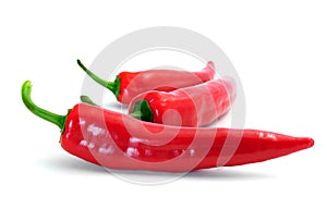 Chilly pepper