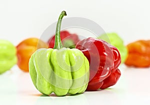 Chilly pepper background