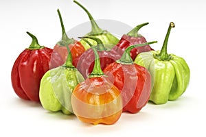 Chilly pepper collection background