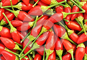 Chilly Peppers Background